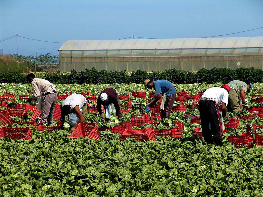 Horticulture workers